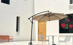 打飞专用徐娘照片